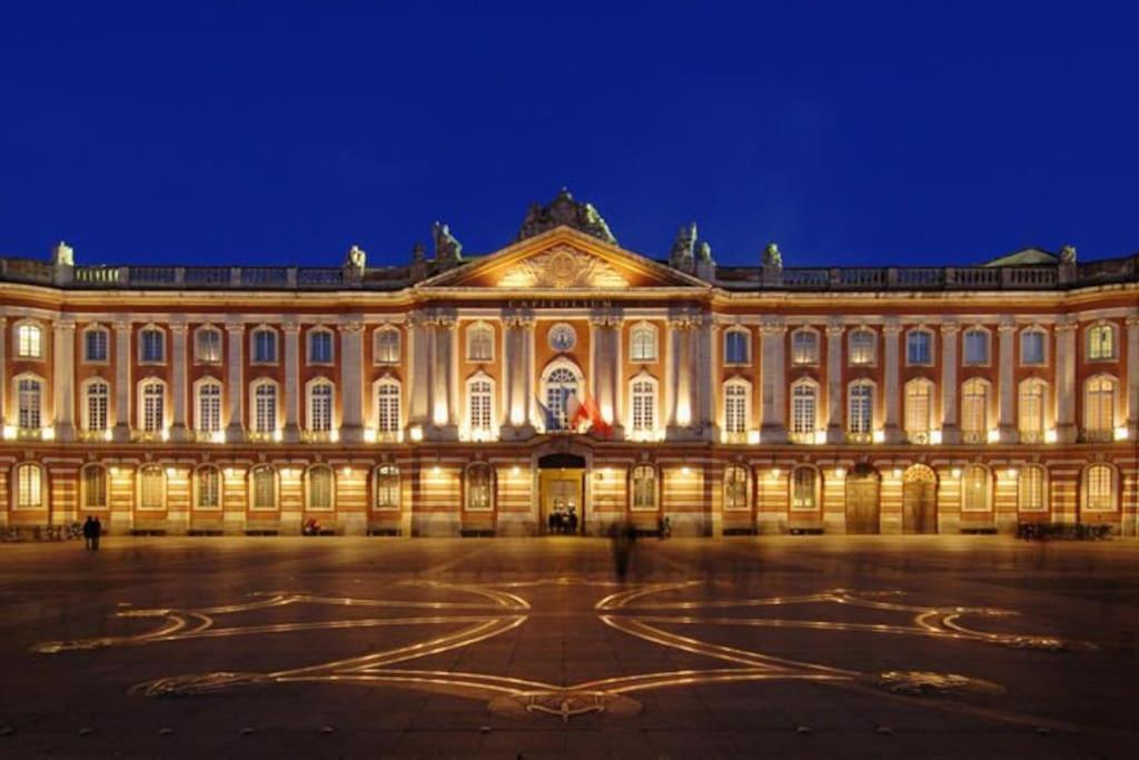 Au Gout Du Jour Climatise Toulouse Exterior foto